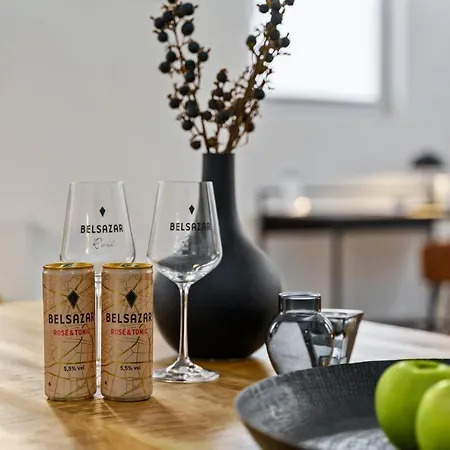 Loft-appartements Mit Terrasse *